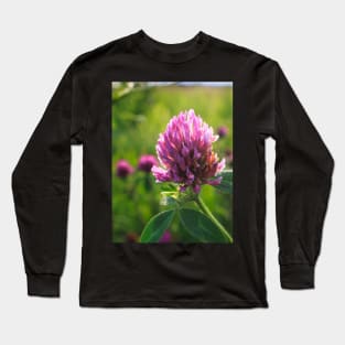 Petals in Sunlight Capture Red Clover's Elegance V1 Long Sleeve T-Shirt